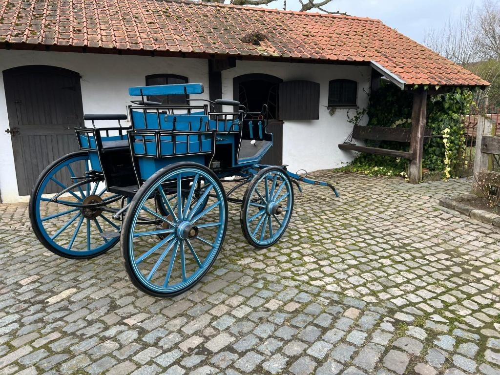 Paardenkoetsen, Utilisé, Autres types, Cheval ou Poney