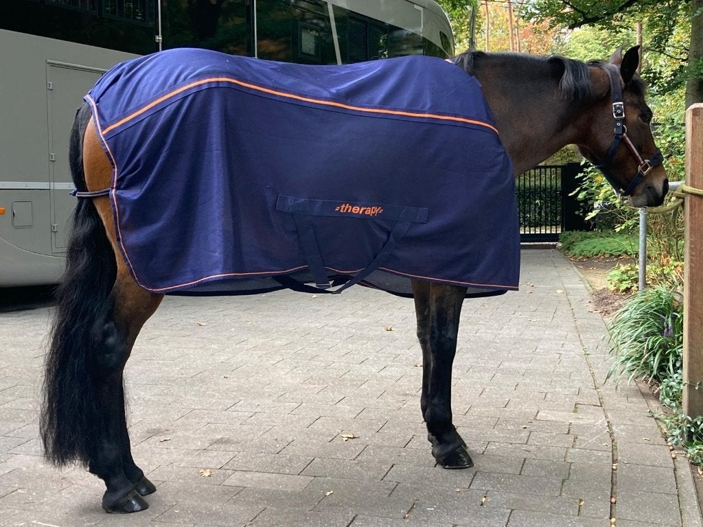 Bucas therapie deken voor D pony, Therapeutisch, Zo goed als nieuw, Pony (P), Blauw