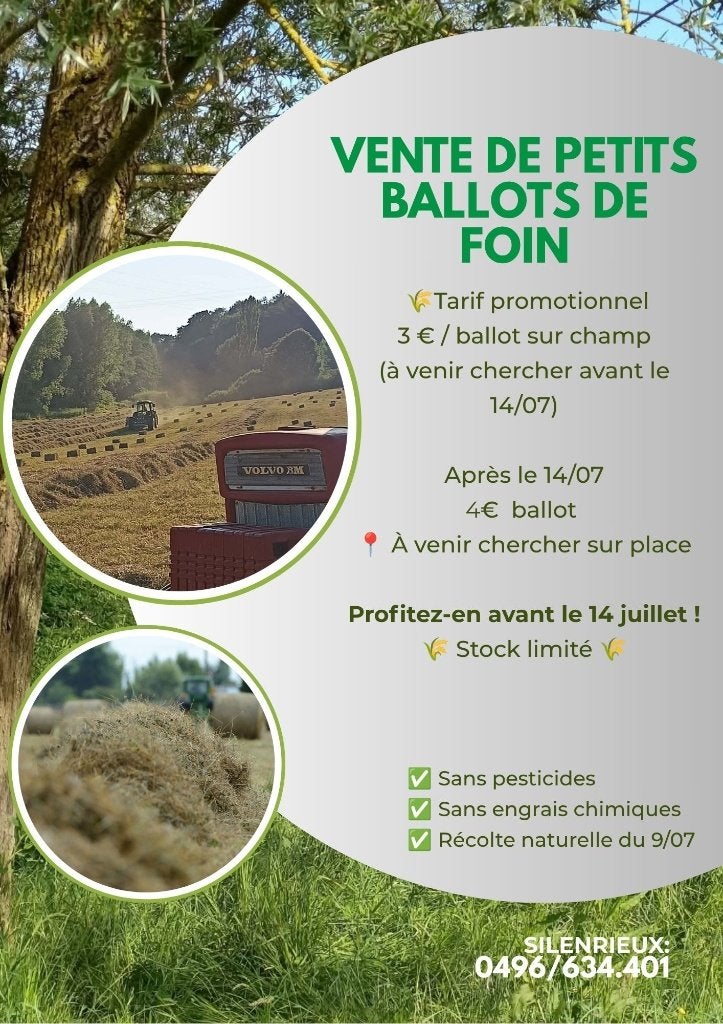 Petits ballots de foin frais, Articles professionnels, Agriculture | Aliments pour bétail, Enlèvement