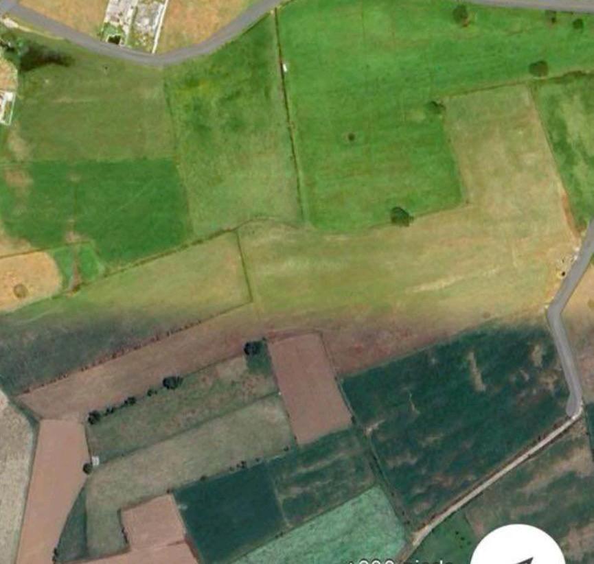 Gezocht stuk grond/weide te HUUR, Dieren en Toebehoren, Stalling en Weidegang