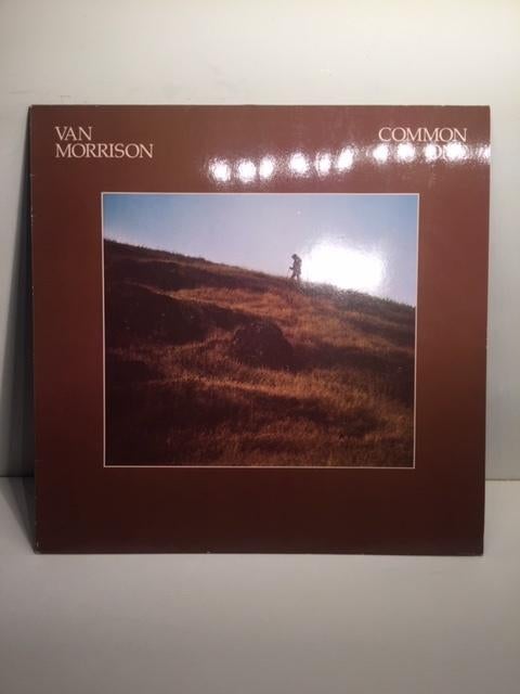 LP - Van Morrison - Common One ( Vinyl ), Ophalen of Verzenden, Zo goed als nieuw, 12 inch, Singer-songwriter