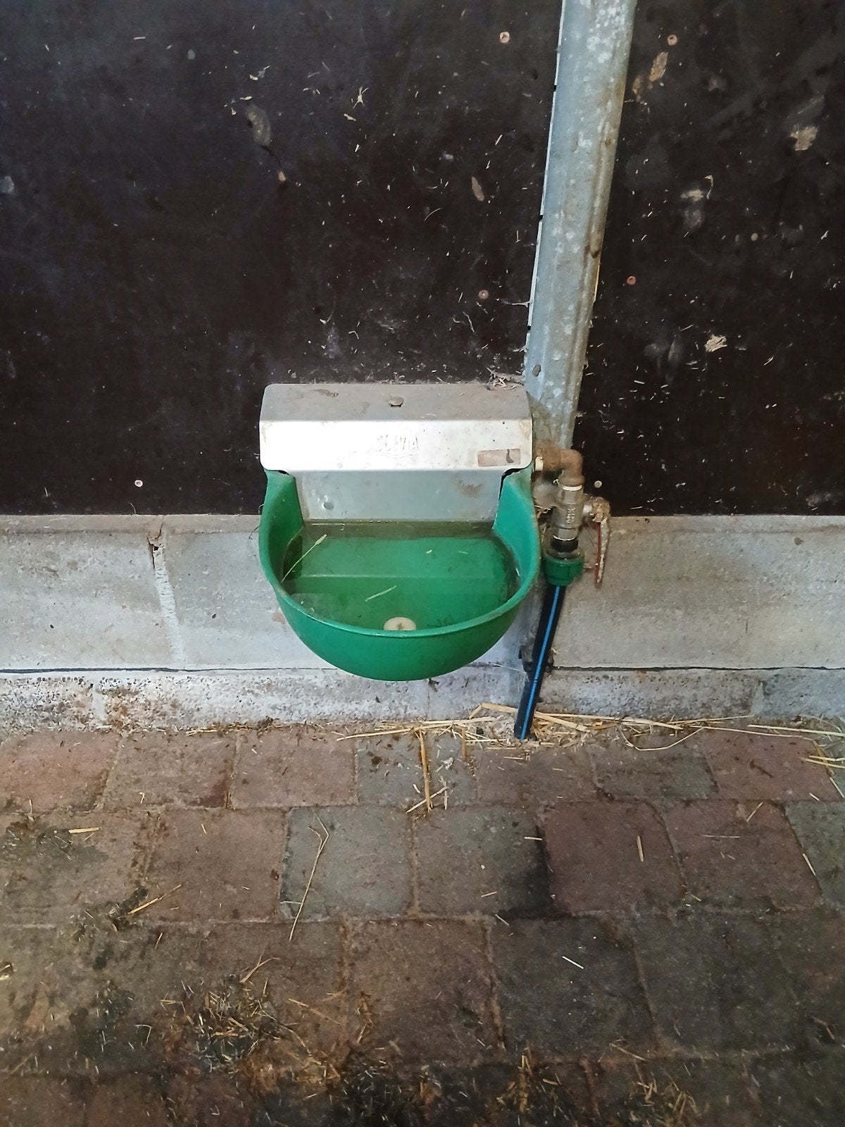 vlotter bakje