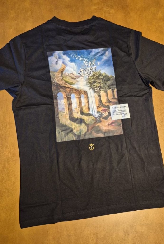 Tomorrowland Desire T-shirt, Vêtements | Hommes, T-shirts, Enlèvement ou Envoi, Neuf, Autres tailles, Noir