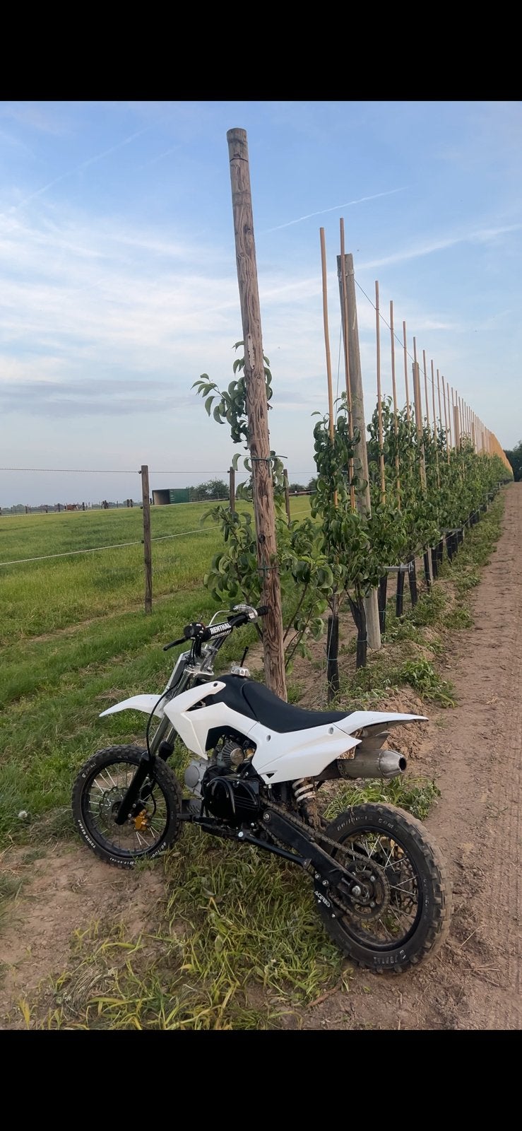 Pit bike 125 cc, Vélos & Vélomoteurs, Enlèvement, Comme neuf