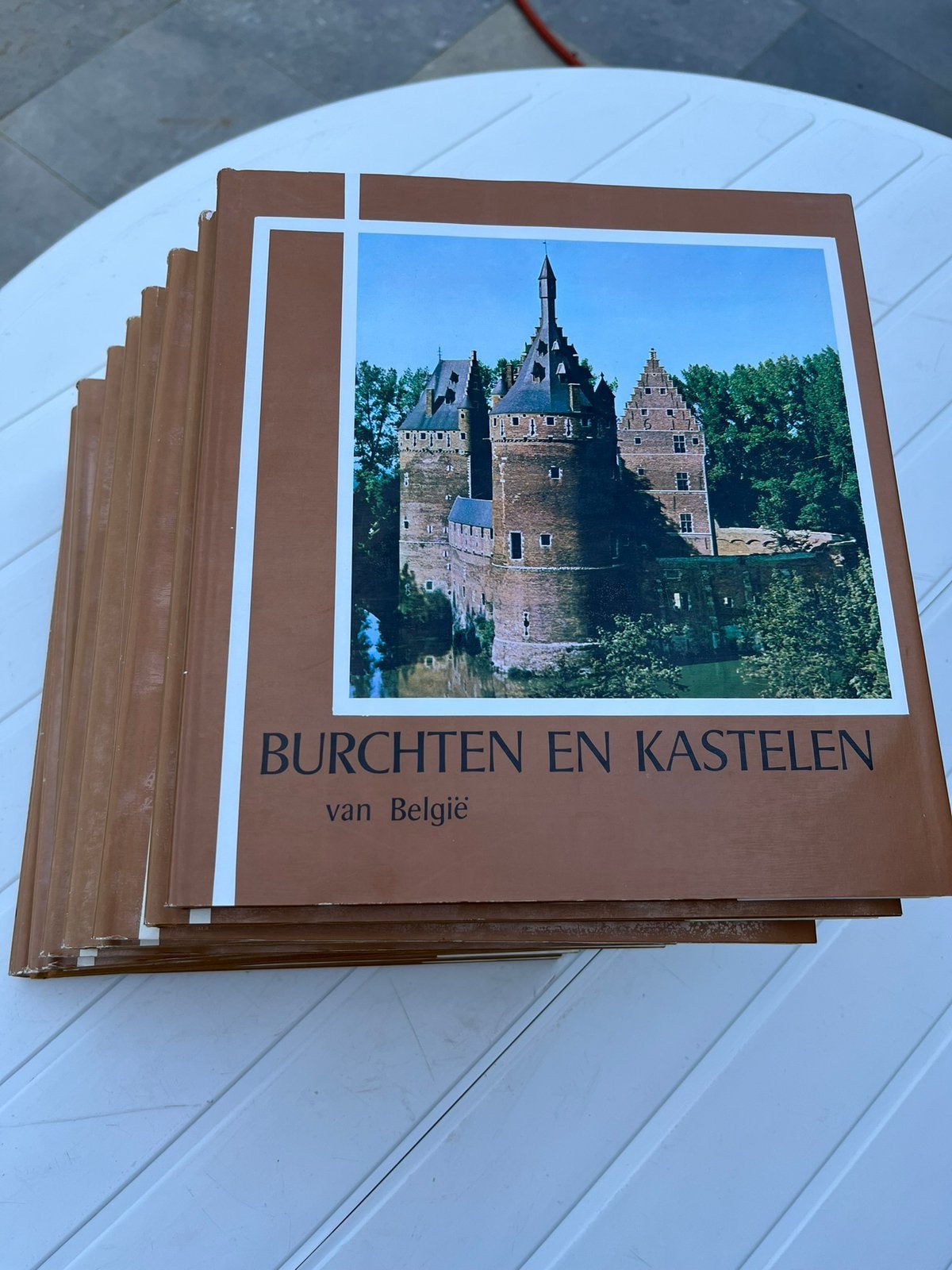 10 boeken:Burchten en kastelen van België., Boeken, Kunst en Cultuur | Architectuur, Ophalen of Verzenden, Zo goed als nieuw