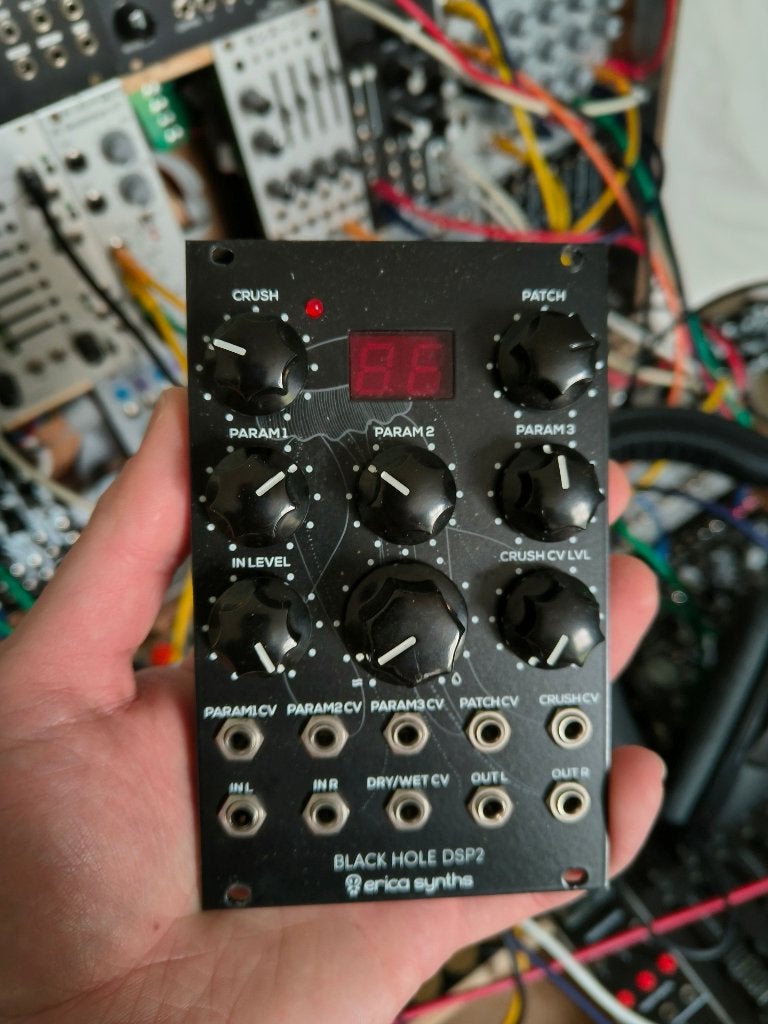 Erica Synths Black Hole DSP 2, Muziek en Instrumenten, Ophalen of Verzenden, Zo goed als nieuw