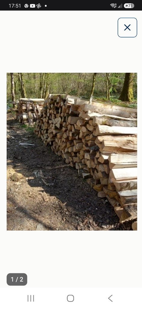 Bois de chauffage sec, 3 à 6 m³, Enlèvement, Chêne, Bûches