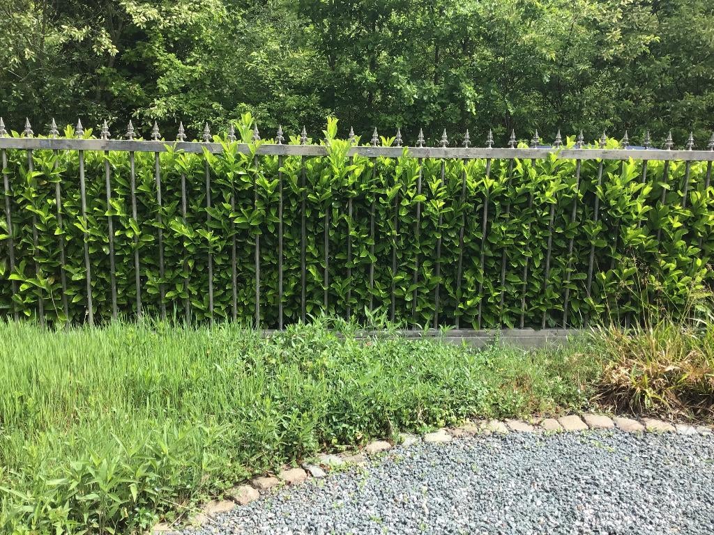 ijzeren (schuif) poort, Tuin en Terras, Ophalen, Gebruikt, IJzer