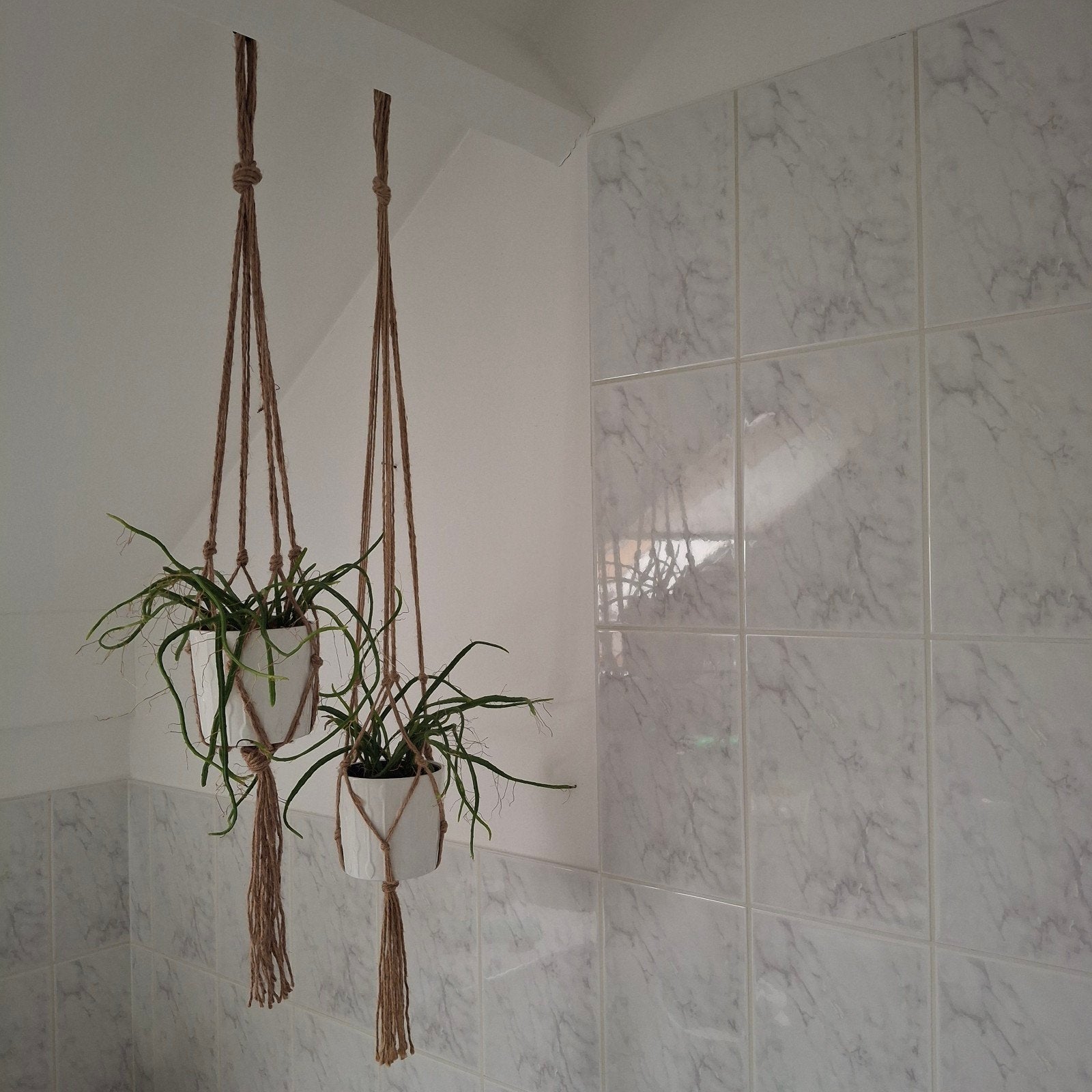 Macrame hangers met pot en hangplanten., Ophalen