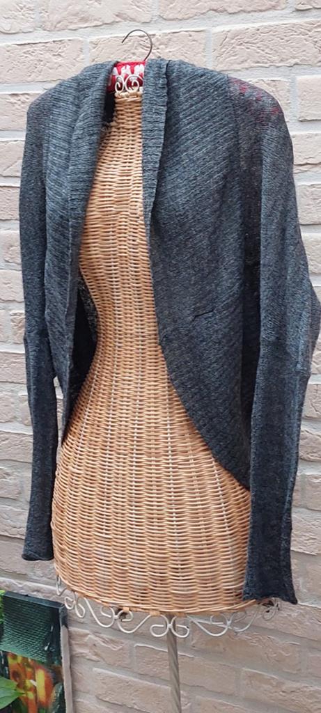 Vestje maat m/l h&m, Kleding | Dames, Truien en Vesten, Maat 38/40 (M), H&M, Ophalen of Verzenden, Zo goed als nieuw