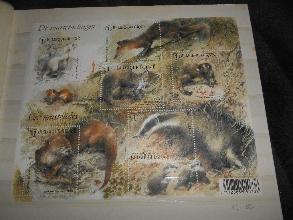 Feuillet de 6 Timbres Belge " les Mustélidés", Enlèvement ou Envoi