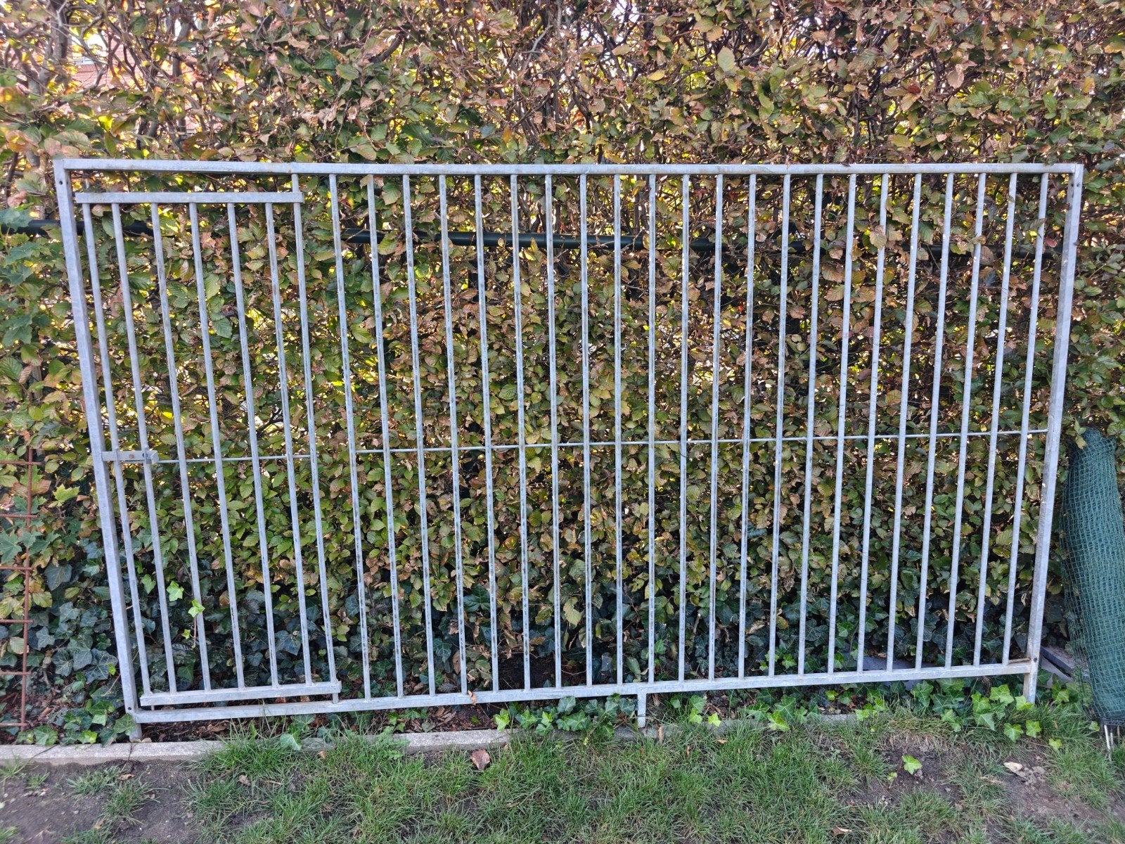Hondenren, Ophalen, Hondenkennel, 100 cm of meer, 110 cm of meer