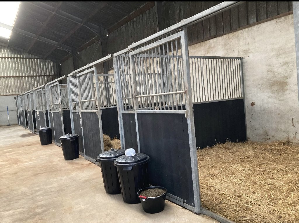 Paardenstal: 1 plaats beschikbaar, Dieren en Toebehoren, Opfok, 4 paarden of pony's of meer