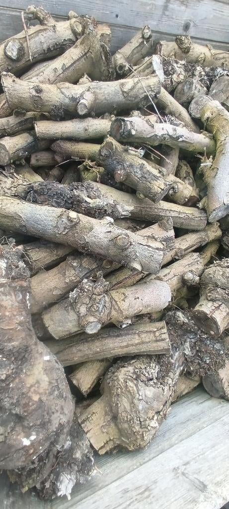 Droog brandhout van fruitbomen., Tuin en Terras, Ophalen, Blokken