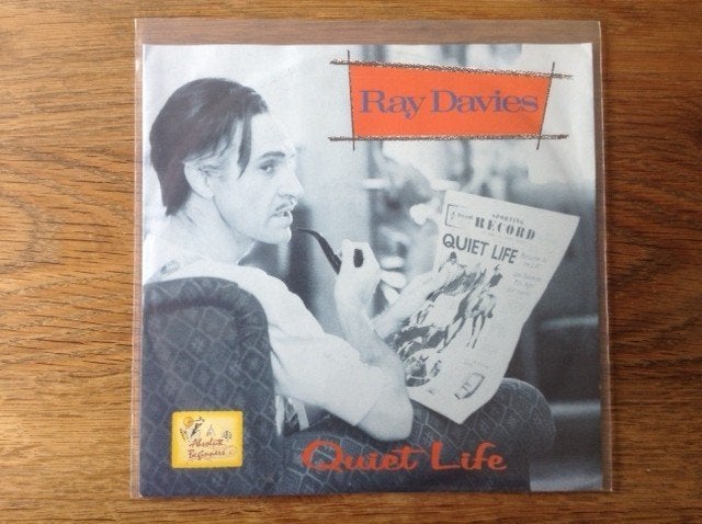 single ray davies, 7 inch, Ophalen of Verzenden, Fotohoes, Rock en Metal