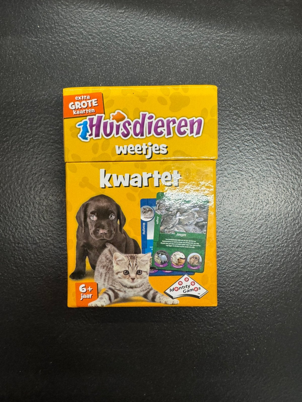 Huisdieren Weetjes Kwartet met extra grote kaarten, Verzamelen, Speelkaarten, Jokers en Kwartetten, Ophalen of Verzenden, Zo goed als nieuw