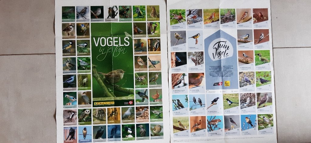 2x poster vogels tuin 41+32 foto's , editie 2009+2020, Verzamelen, Ophalen of Verzenden, A1 t/m A3, Dier of Natuur, Rechthoekig Staand