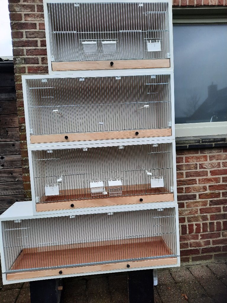 kooien, Ophalen, Nieuw, Hout, Broedkooi of Kweekkooi