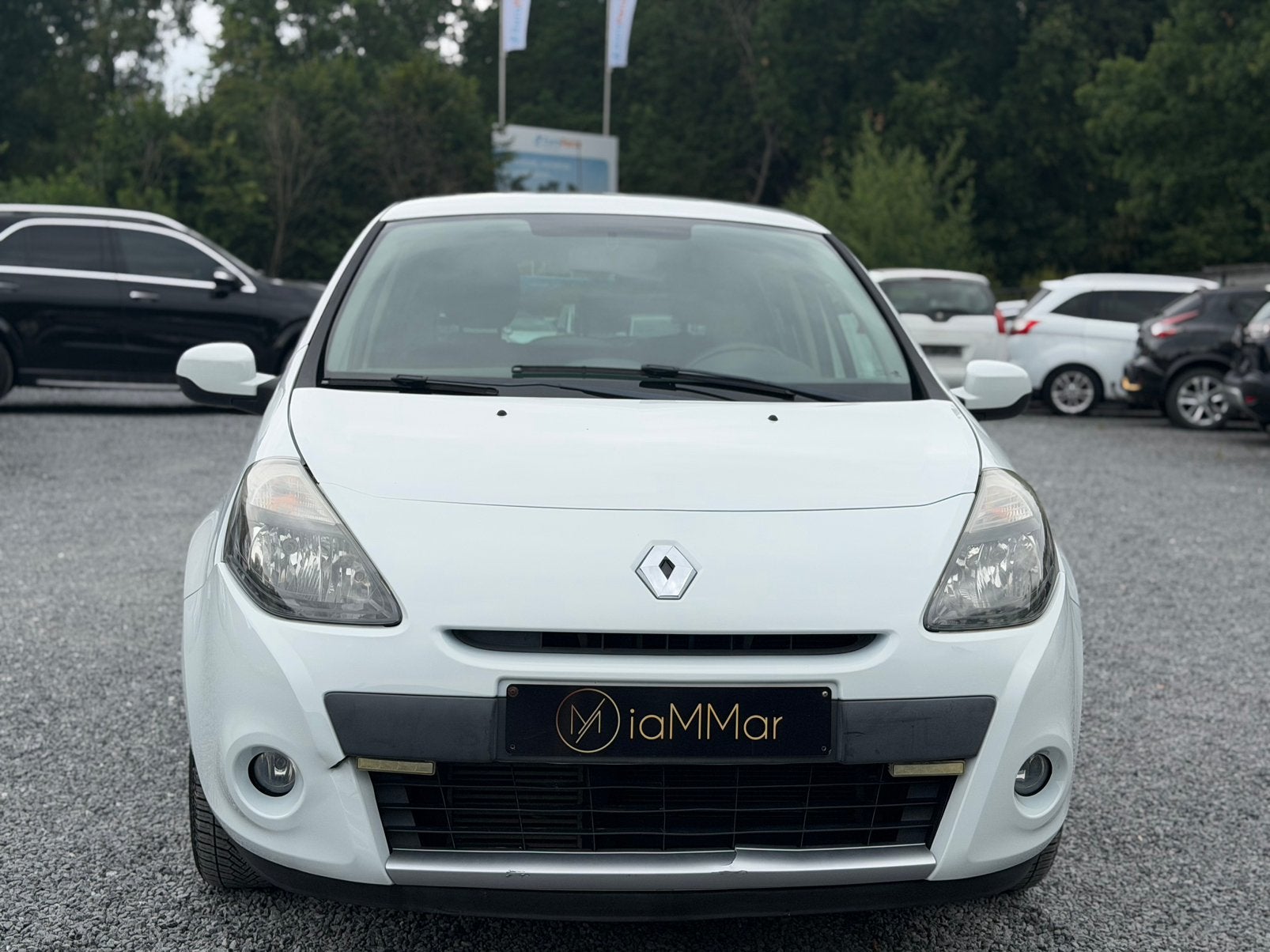 RENAULT CLIO, Autos, Renault, Euro 5, Achat, Capteur de lumière, Entreprise