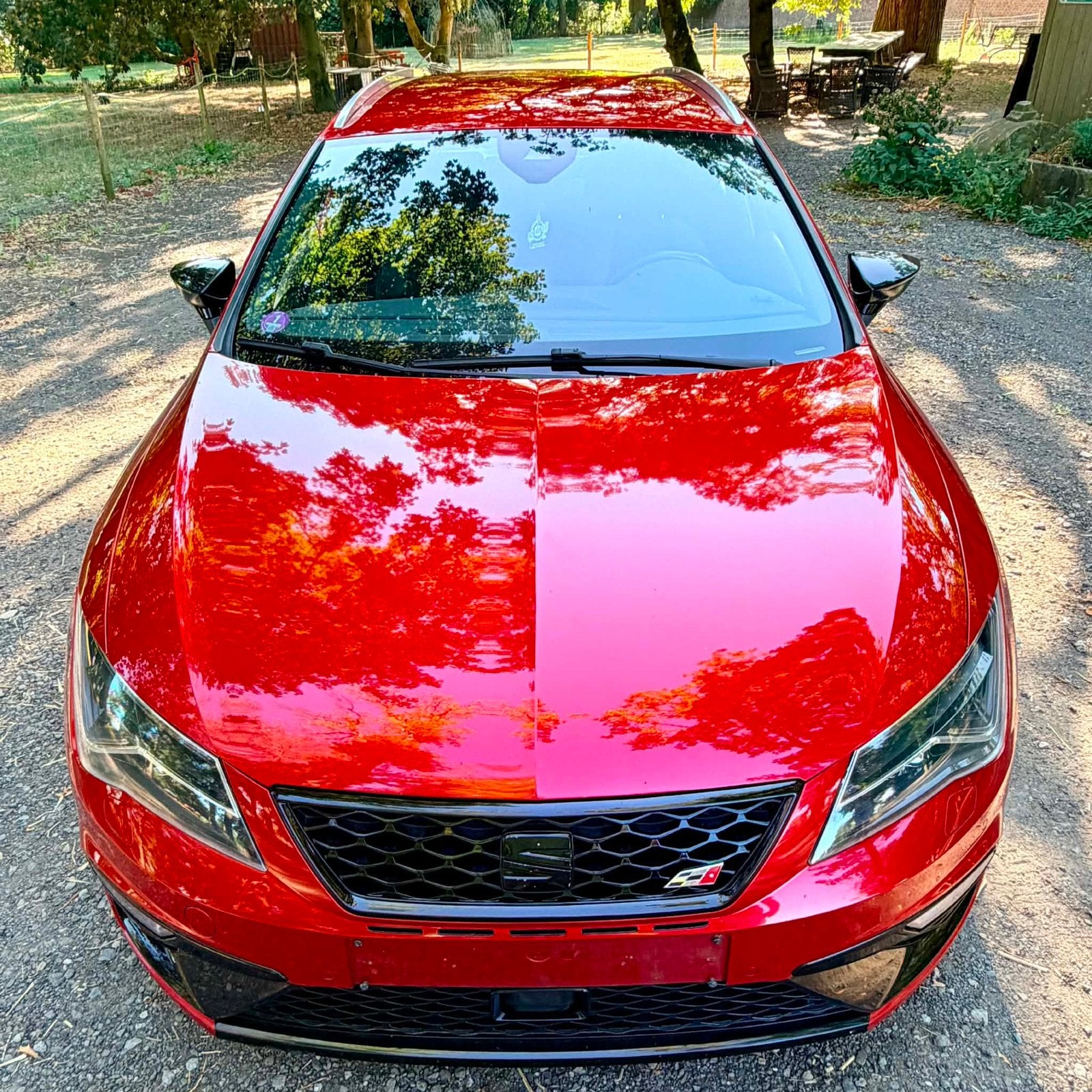 Seat Leon Cupra, Autos, Achat, Particulier, 4x4, Quatre roues motrices / 4X4