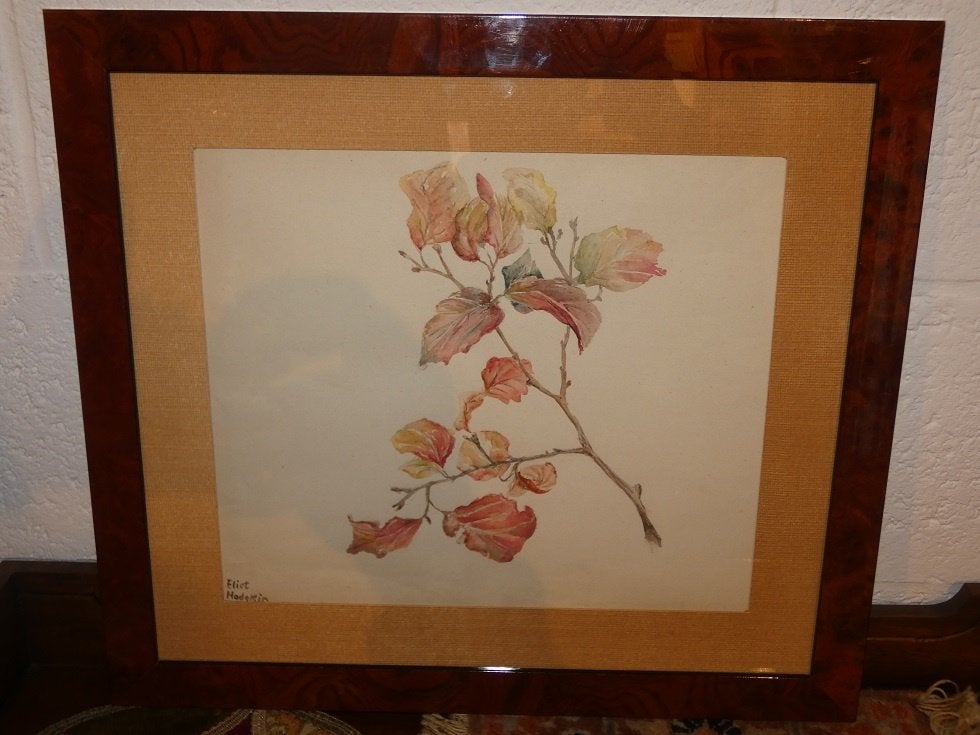 aquarelle et dessin « brindille ». Signé : Eliot Hodgkin, Antiquités & Art, Enlèvement ou Envoi, Encadré, Aquarelle, Fleurs