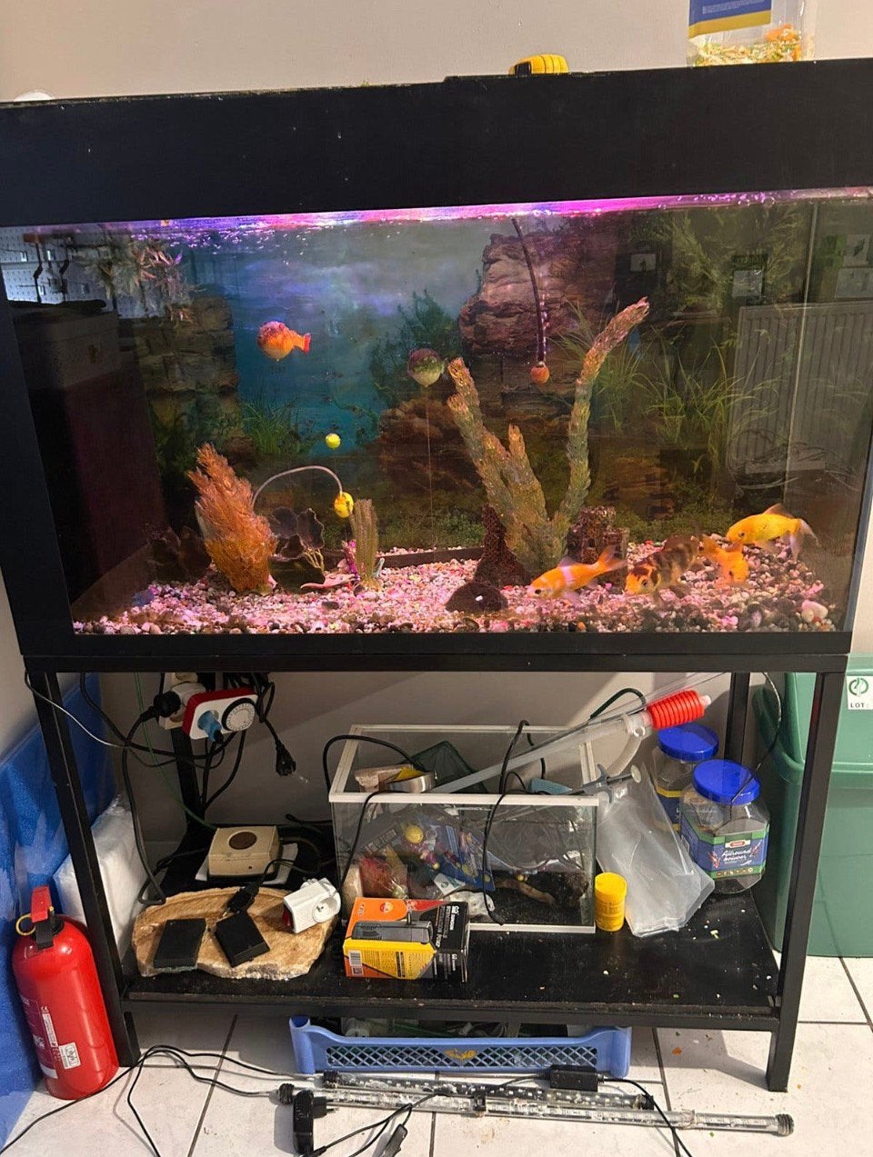 Aquarium, Enlèvement, Comme neuf