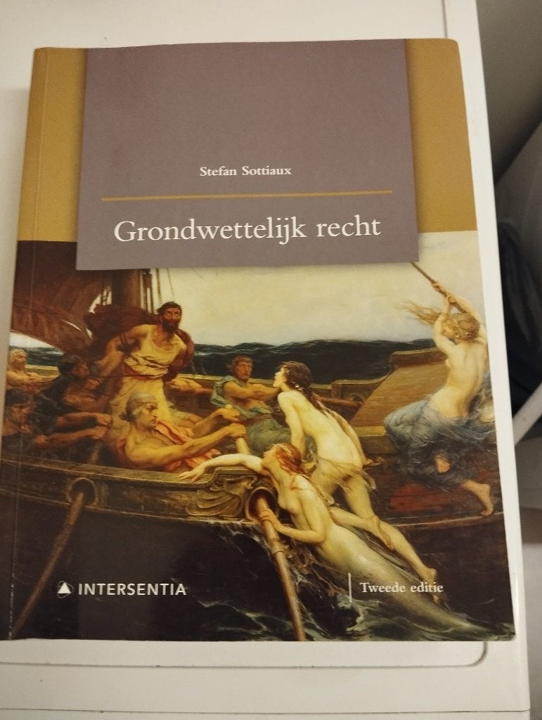 Grondwettelijk Recht, Enlèvement, Comme neuf, Stefan Sottieaux