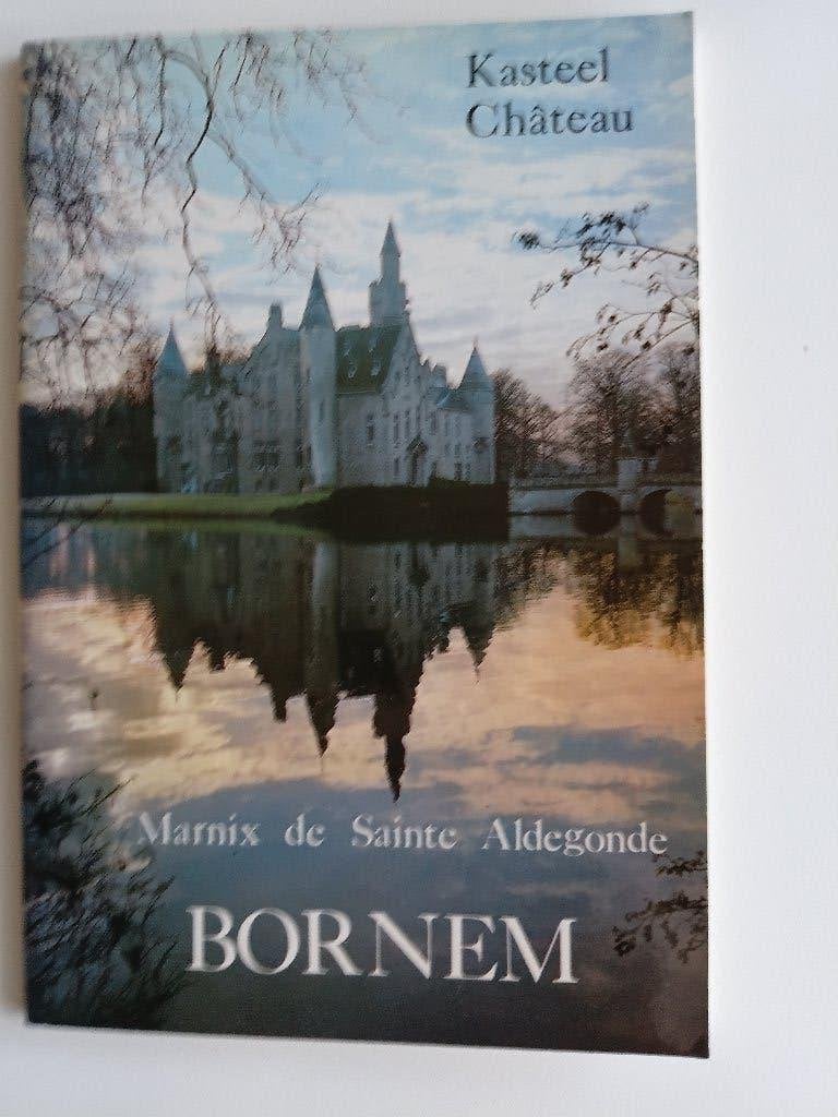 boek kastelen, Ophalen, Zo goed als nieuw, Overige onderwerpen