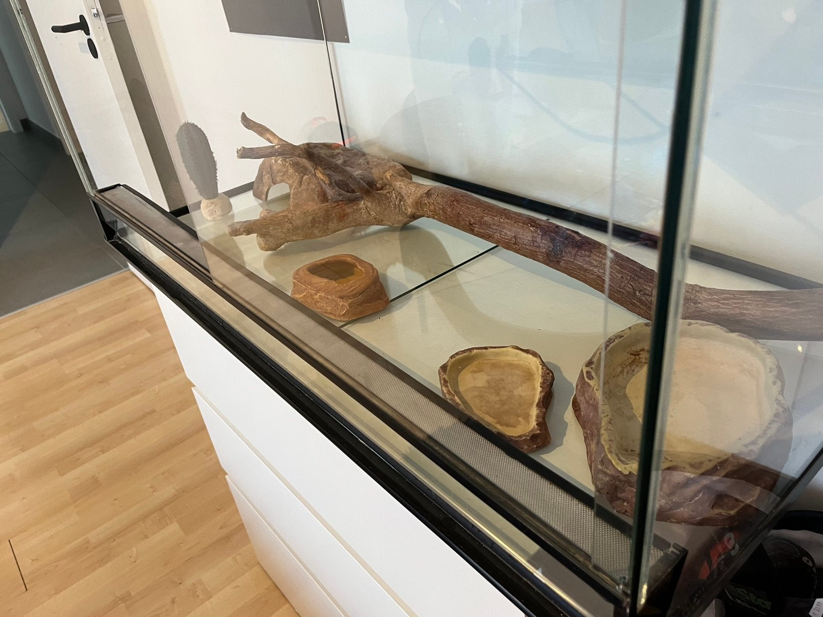 Hauteur :50cm, profondeur :50cm, largeur:1m terrrium reptile, Animaux & Accessoires, Enlèvement, Utilisé, Terrarium ou Paludarium