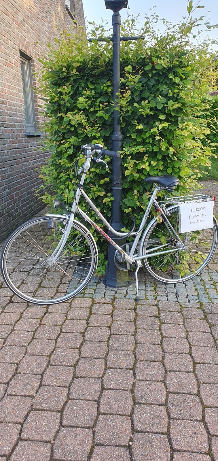 Damesfiets grijze kleur, Ophalen
