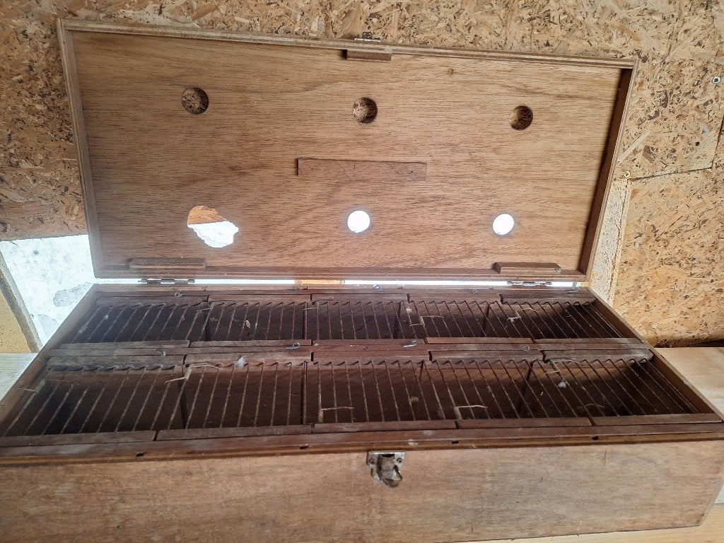 Transpoetkooien voor vogels, Animaux & Accessoires, Oiseaux | Pigeons, Autres espèces