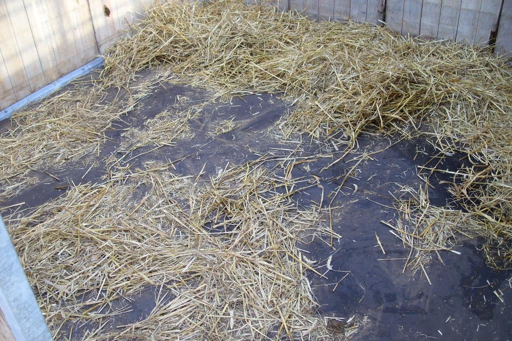 stalmatten, Dieren en Toebehoren, Weidegang