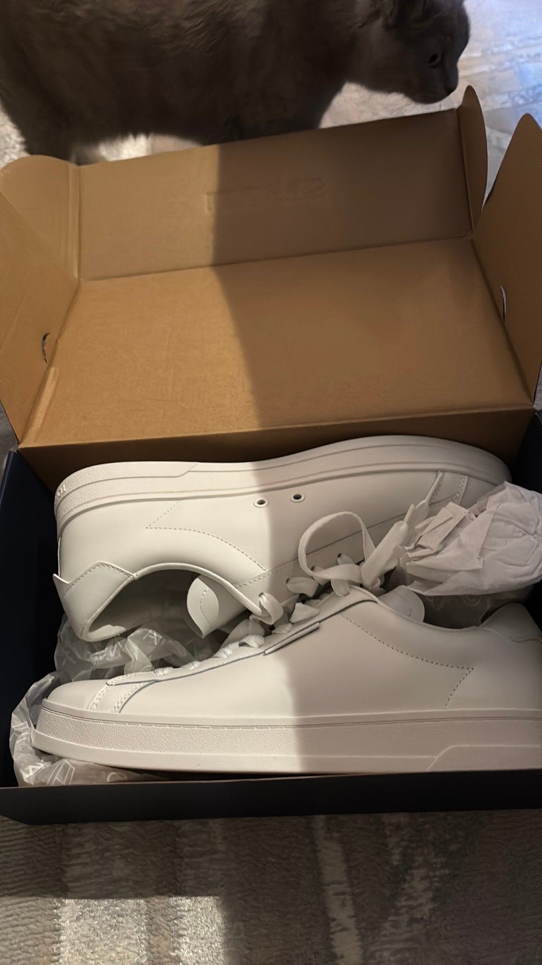 tommy hilfiger sneakers, Ophalen, Zo goed als nieuw, Sneakers