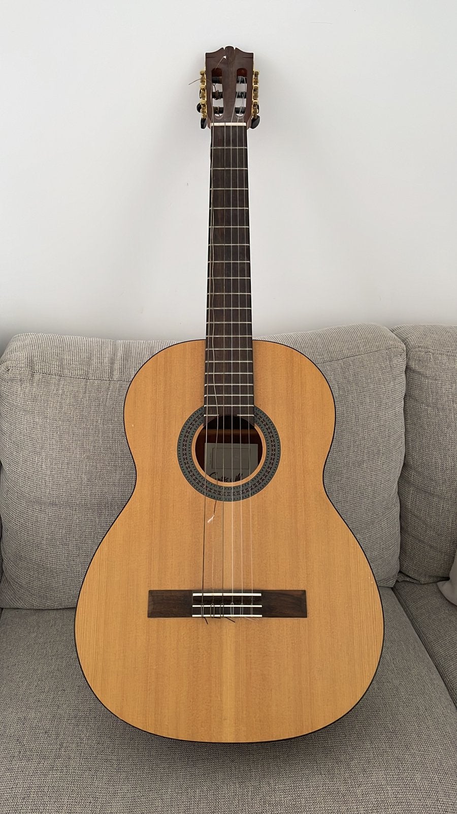 Guitare acoustique + housse de rangement, Musique & Instruments, Instruments à corde | Guitares | Acoustiques, Enlèvement, Comme neuf