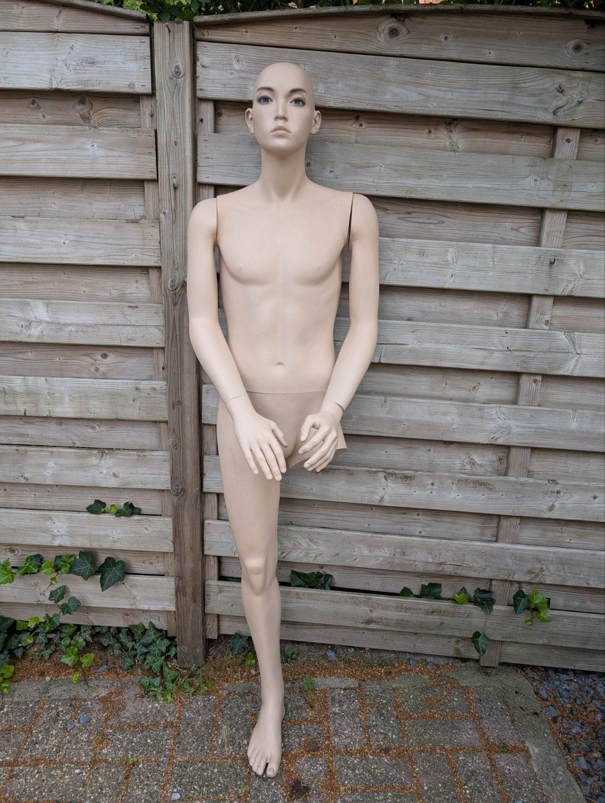 Mannequin de petite taille, Collections, Enlèvement