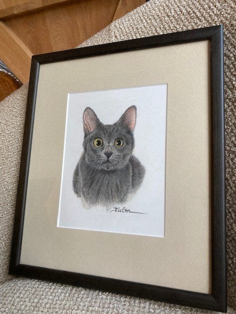 Kader tekening Chartreux/Karthuizer, Enlèvement ou Envoi, Moins de 50 cm, Dessin, 5 – 50