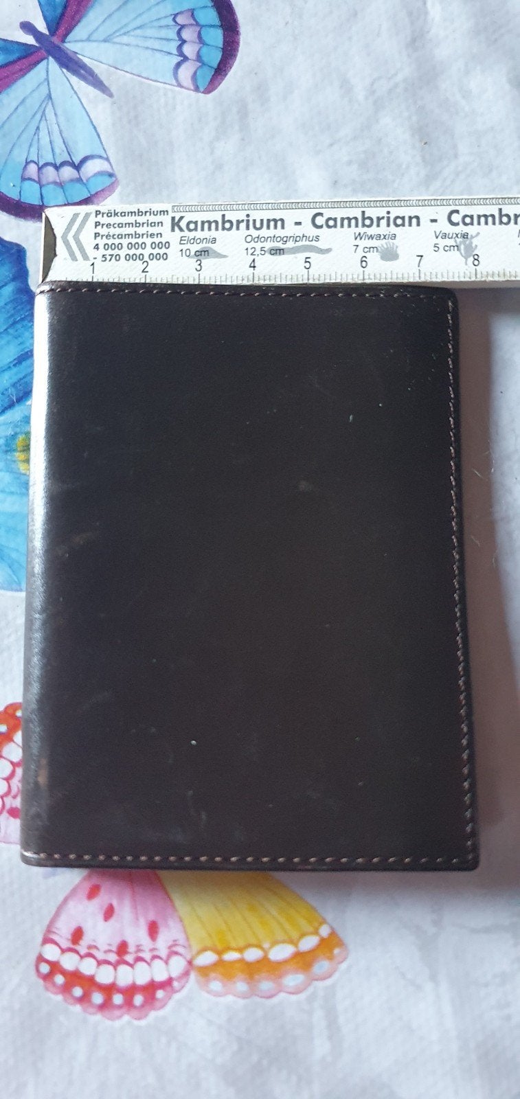 porte cartes Delvaux, Ophalen, Bruin, Leder