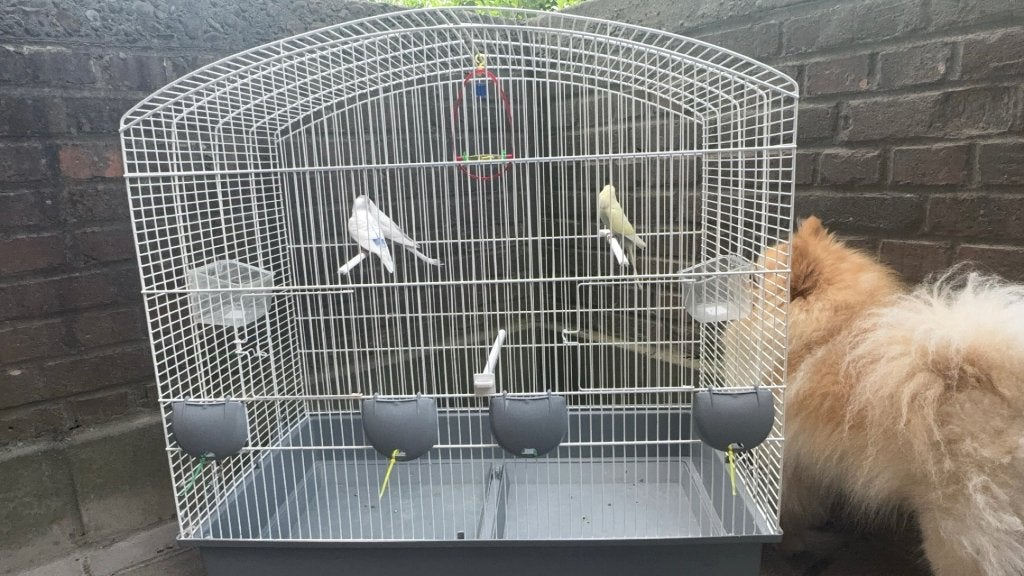 Cage oiseau, Enlèvement, Comme neuf, Cage à oiseaux