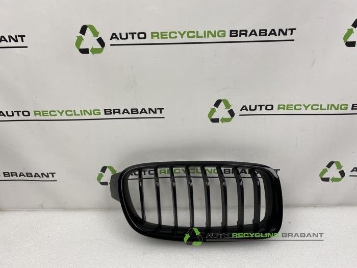 Pare-chocs grille d'un BMW 3-Serie, -, 3 mois de garantie, Utilisé, -