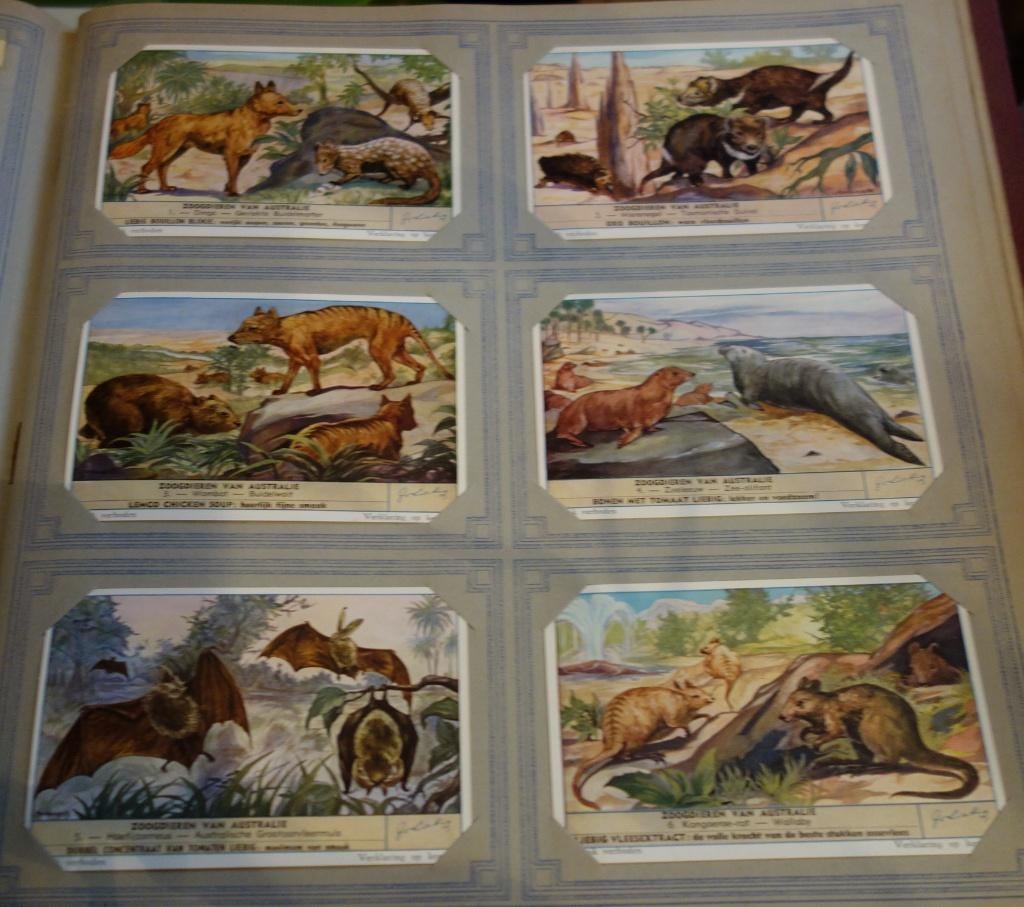 Set Liebig Prenten Zoogdieren van Australie (1955)., Enlèvement ou Envoi, Gravure, Comme neuf, 1940 à 1960