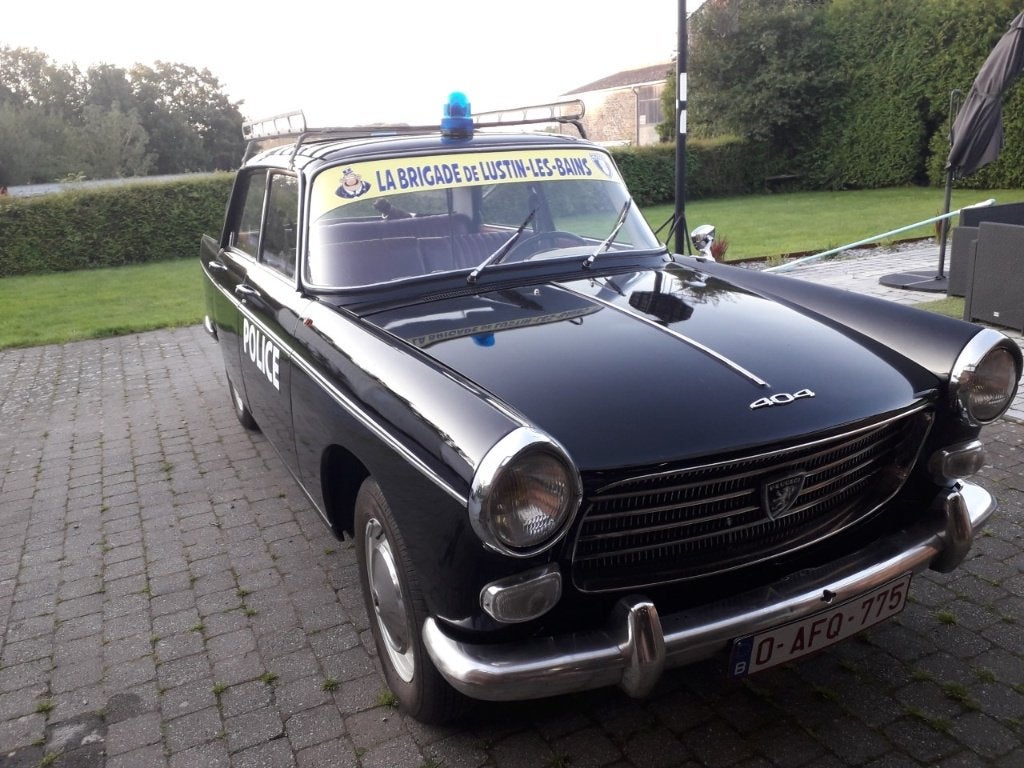 Voorruit Peugeot 404 en DS, Ophalen, Gebruikt, Citroën