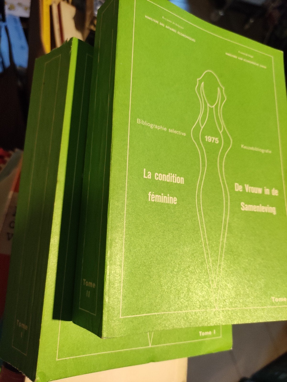 2 PARTIES : LES FEMMES DANS LA SOCIÉTÉ, Livres, Politique & Société, Enlèvement ou Envoi