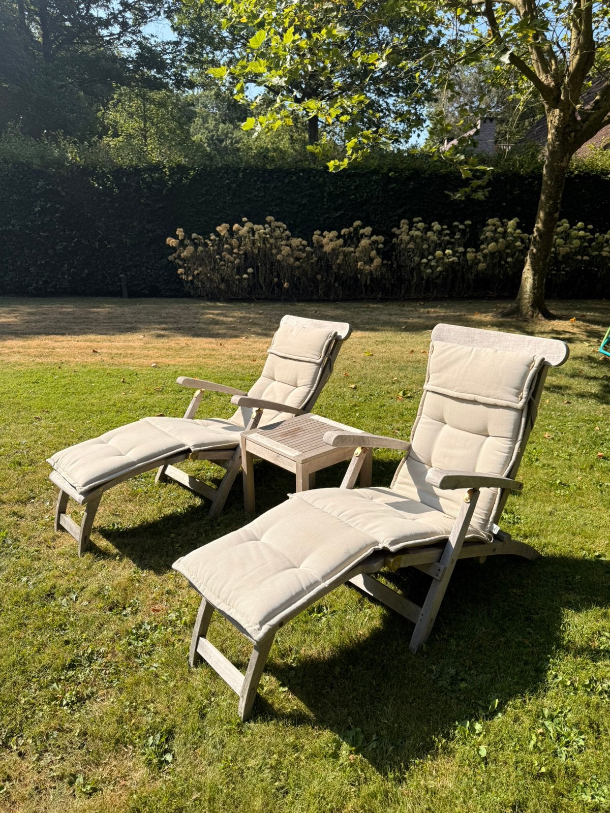 Deckchair 2 x met tafeltje en kussens, Ophalen, Zo goed als nieuw, Verstelbaar