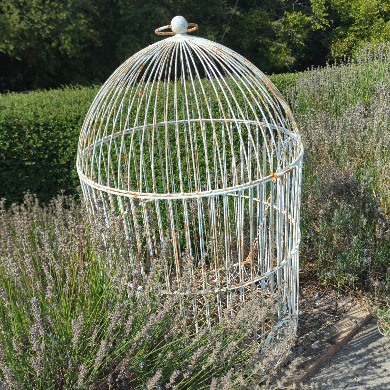 Cage décorative fer forgé, Enlèvement, Utilisé, Autres matériaux, Autres types