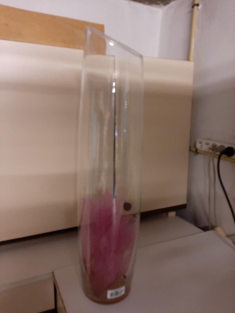 Grand vase pour orchidées, Enlèvement