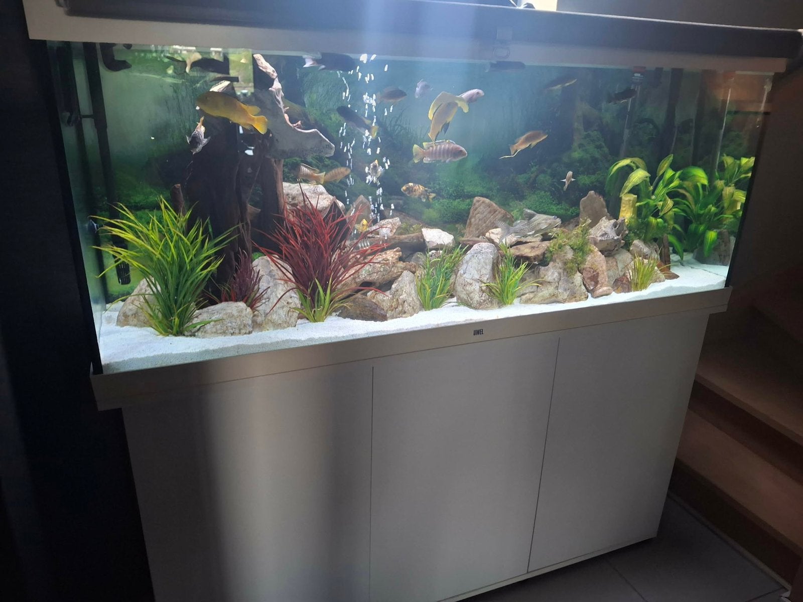 Aquarium met toebehoren en vissen, Ophalen, Verwarming, Zo goed als nieuw, Decoratie