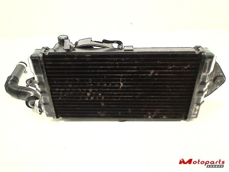 Honda Radiateur VT 1100 SHADOW 1987-1995, Motoren, Onderdelen | Honda, Gebruikt, Ophalen of Verzenden