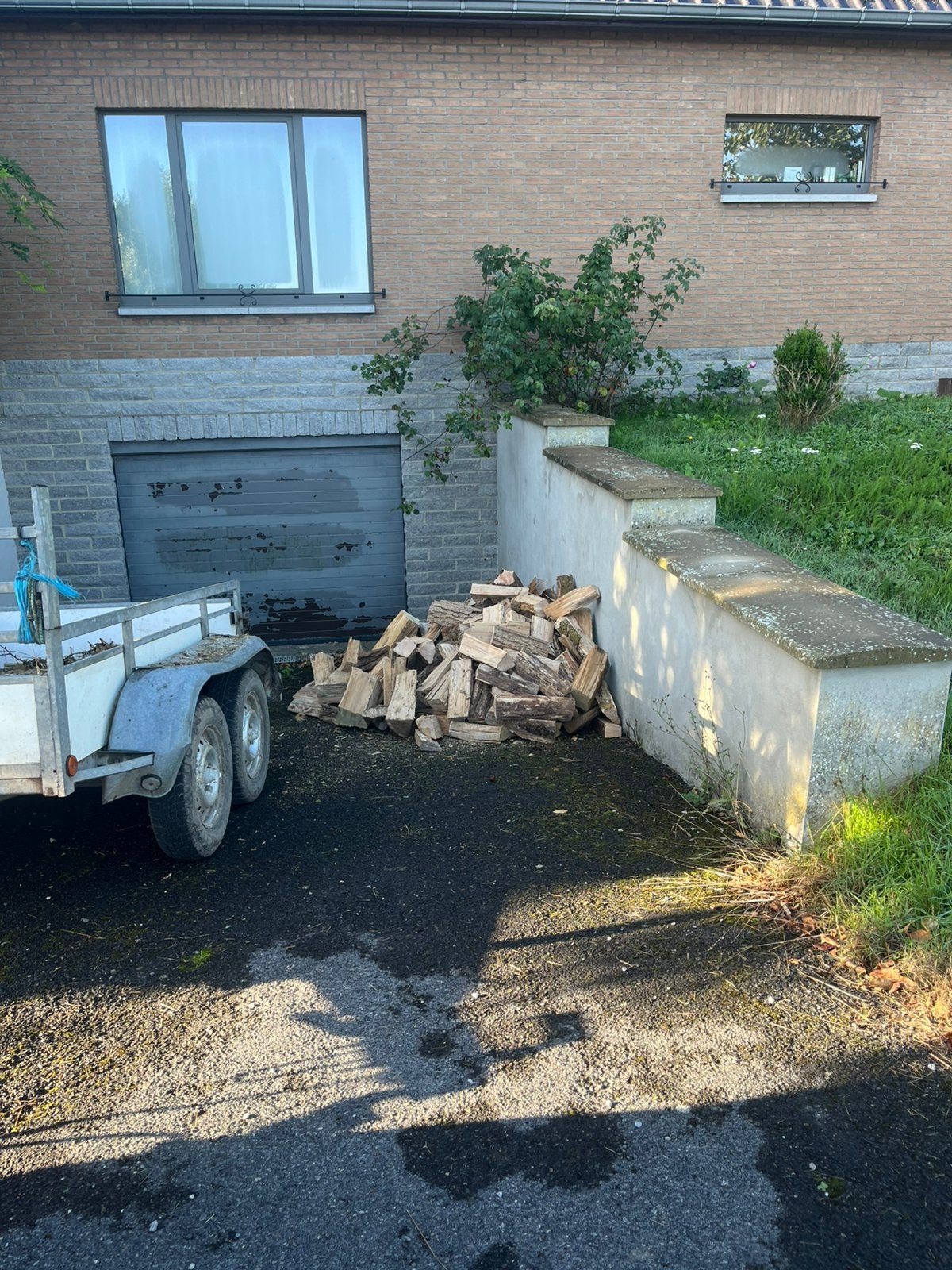 Bois de chauffage sec, Jardin & Terrasse, Moins de 3 m³, Enlèvement, Frêne, Bûches