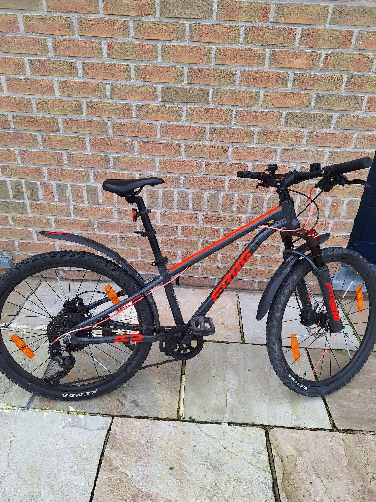Kinderfiets Frogbike MTB maat 31,7(+- 10 jarige leeftijd), Enlèvement, Utilisé, Frog Bikes