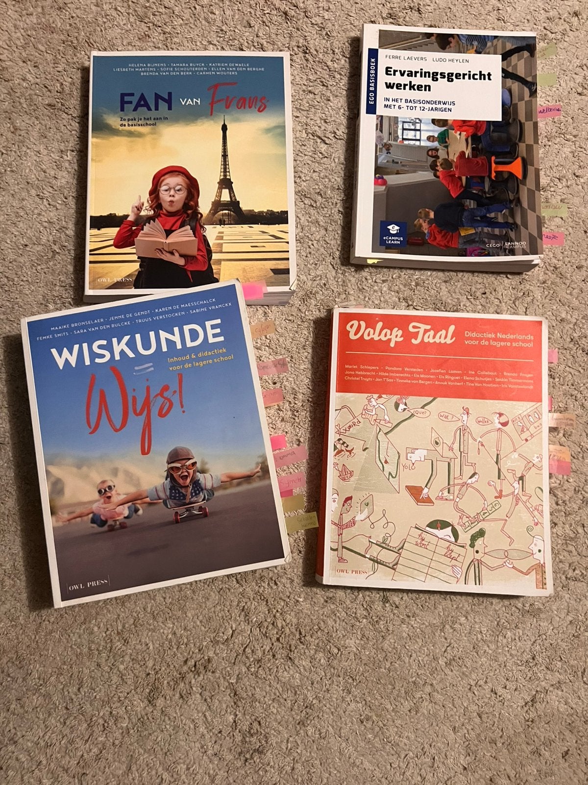 Boeken Onderwijs leerkracht, Boeken, Schoolboeken, Ophalen, Zo goed als nieuw, Frans
